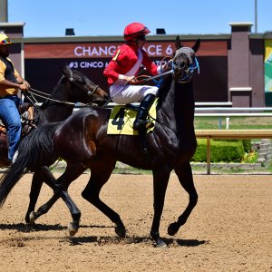Texas | The Kentucky Derby Day | 3/5/25