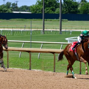 Texas | The Kentucky Derby Day | 3/5/25