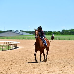 Texas | The Kentucky Derby Day | 3/5/25