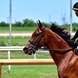 Texas | The Kentucky Derby Day | 3/5/25