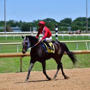 Texas | The Kentucky Derby Day | 3/5/25