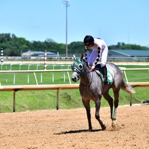 Texas | The Kentucky Derby Day | 3/5/25