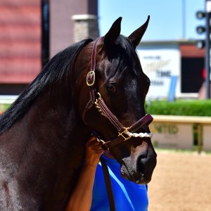 Texas | The Kentucky Derby Day | 3/5/25