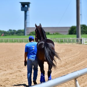 Texas | The Kentucky Derby Day | 3/5/25