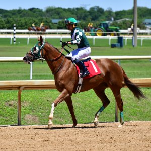 Texas | The Kentucky Derby Day | 3/5/25
