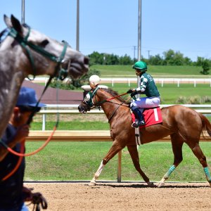 Texas | The Kentucky Derby Day | 3/5/25