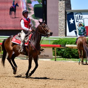 Texas | The Kentucky Derby Day | 3/5/25