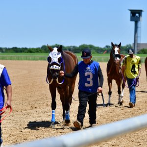 Texas | The Kentucky Derby Day | 3/5/25