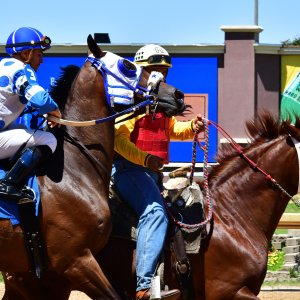 Texas | The Kentucky Derby Day | 3/5/25
