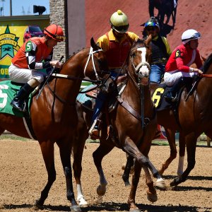 Texas | The Kentucky Derby Day | 3/5/25