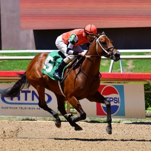 Texas | The Kentucky Derby Day | 3/5/25