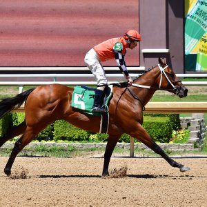 Texas | The Kentucky Derby Day | 3/5/25