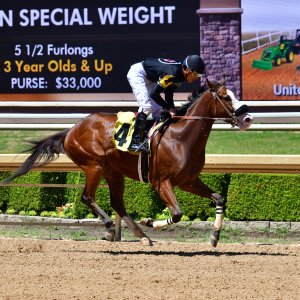 Texas | The Kentucky Derby Day | 3/5/25