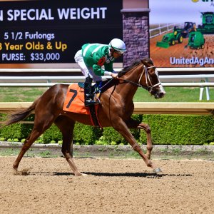 Texas | The Kentucky Derby Day | 3/5/25