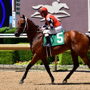 Texas | The Kentucky Derby Day | 3/5/25