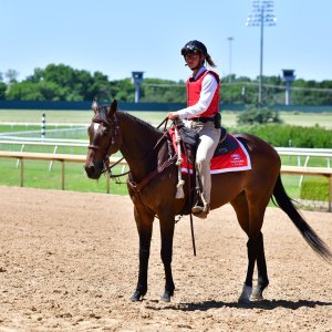 Texas | The Kentucky Derby Day | 3/5/25