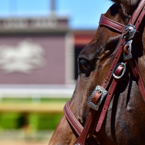 Texas | The Kentucky Derby Day | 3/5/25