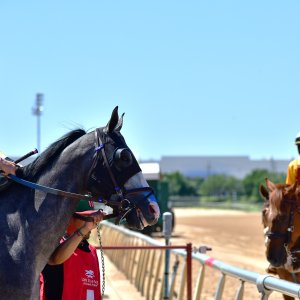 Texas | The Kentucky Derby Day | 3/5/25
