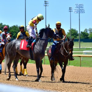 Texas | The Kentucky Derby Day | 3/5/25