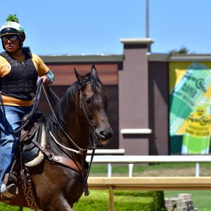 Texas | The Kentucky Derby Day | 3/5/25