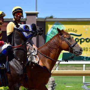 Texas | The Kentucky Derby Day | 3/5/25