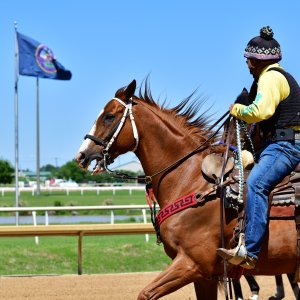 Texas | The Kentucky Derby Day | 3/5/25