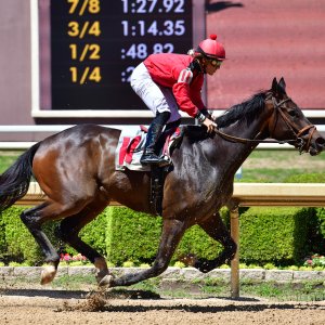 Texas | The Kentucky Derby Day | 3/5/25