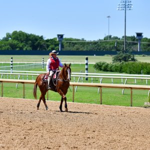 Texas | The Kentucky Derby Day | 3/5/25