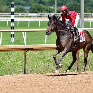Texas | The Kentucky Derby Day | 3/5/25