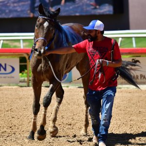 Texas | The Kentucky Derby Day | 3/5/25