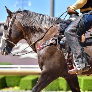 Texas | The Kentucky Derby Day | 3/5/25