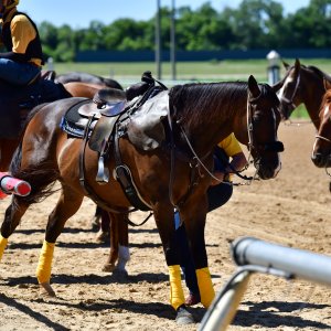 Texas | The Kentucky Derby Day | 3/5/25