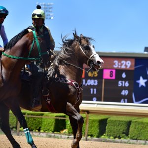 Texas | The Kentucky Derby Day | 3/5/25