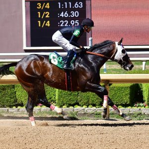 Texas | The Kentucky Derby Day | 3/5/25