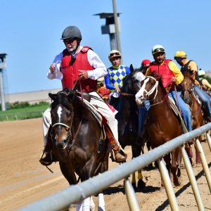 Texas | The Kentucky Derby Day | 3/5/25