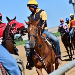 Texas | The Kentucky Derby Day | 3/5/25