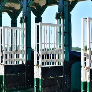 Texas | The Kentucky Derby Day | 3/5/25