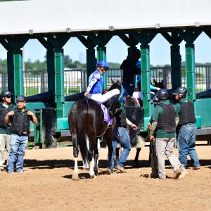 Texas | The Kentucky Derby Day | 3/5/25