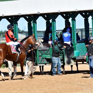 Texas | The Kentucky Derby Day | 3/5/25