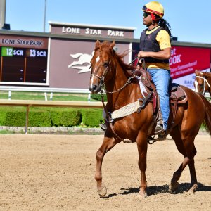 Texas | The Kentucky Derby Day | 3/5/25