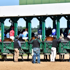Texas | The Kentucky Derby Day | 3/5/25