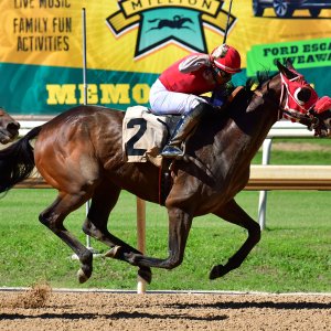 Texas | The Kentucky Derby Day | 3/5/25