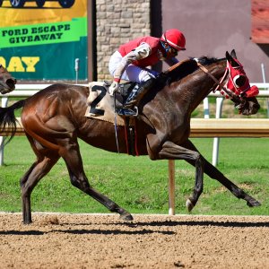 Texas | The Kentucky Derby Day | 3/5/25