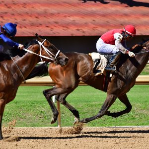 Texas | The Kentucky Derby Day | 3/5/25