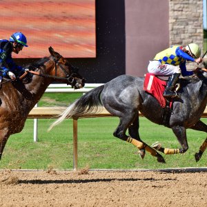 Texas | The Kentucky Derby Day | 3/5/25