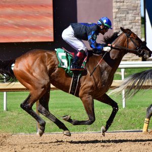 Texas | The Kentucky Derby Day | 3/5/25
