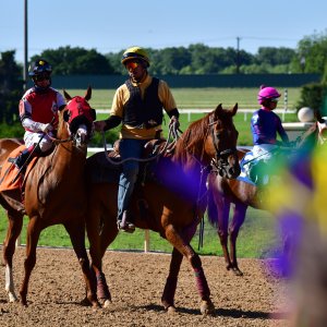 Texas | The Kentucky Derby Day | 3/5/25