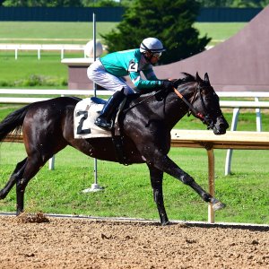 Texas | The Kentucky Derby Day | 3/5/25