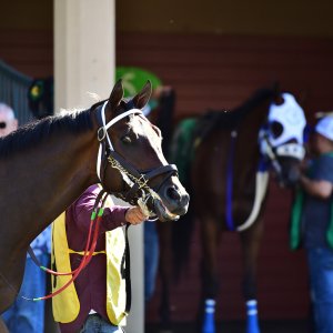 Texas | The Kentucky Derby Day | 3/5/25