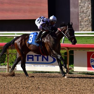 Texas | The Kentucky Derby Day | 3/5/25
